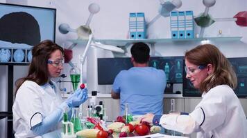 Genetically engineered food laboratory. Scientist are expeimenting with different fruits and vegetables video