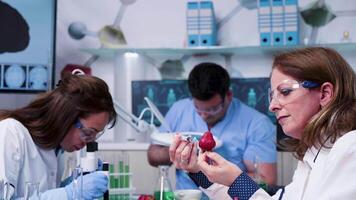 Food genetics scientist injecting GMO in strawberries. Slow motion shot video