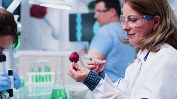 Close up footage of researcher testing new GMO on strawberries in modern laboratory video