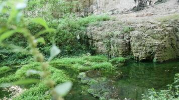 río, cueva y naturaleza en el montañas video