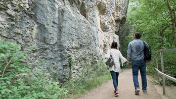 Largo tiro do caucasiano casal caminhando dentro a montanhas e floresta video