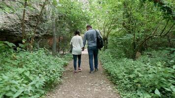 Pareja caminando en el bosque luego descubriendo un grande montaña. excursionismo y aventuras video