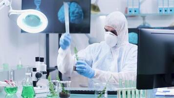 Biotechnologist in coverall using a ruler to measure the plant length after using GMO on it. Modern high-end laboratory video