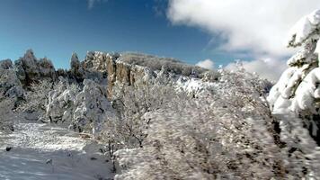 montaña picos y bosques paisaje. disparo. parte superior ver de el Nevado montañas en bosque video