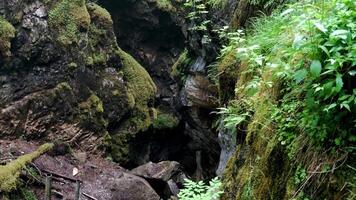 Gorge in rock overgrown with moss and grass. Stock footage. Small cleft among rocks wet and covered with moss with light haze video