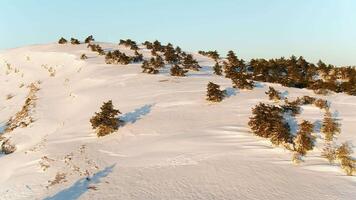 inverno paesaggio con pietra roccia coperto con neve. sparo. superiore Visualizza di il innevato collina nel il foresta video