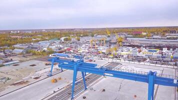 Haut vue de récipient. agrafe. Haut vue de portique grue. grand logistique transport entreprise video