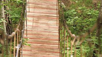 View on empty wooden suspension bridge in the forest in the National Park, Tanzania. Stock footage. Beautiful wooden hanging bridge wobbling after steps. video