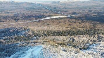 parte superior ver de conífero bosque en soleado invierno día. imágenes. panorámico ver de cubierto de nieve abeto bosque y congelado blanco lago en calentar rayos de invierno día video