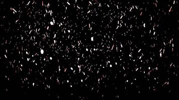 abstrakt aska partiklar flytande över svart bakgrund. animation. vit damm partiklar eller snöflingor rör på sig långsamt och faller ner. video