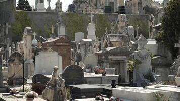 tranquilo cementerio en Europa, concepto de muerte y arquitectura. acción. muchos tumbas y memoriales a el europeo cementerio en un verano soleado día. video