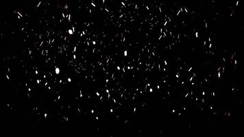 Abstract snow particles falling down in colorful light on black background. Animation. Beautiful small snowflakes soaring in the night sky. video