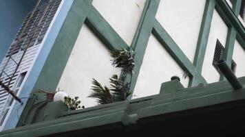 Unterseite Aussicht von das Haus Mauer mit Grün Pflanzen wachsend nahe. Aktion. das stark Wind bewegt sich das Blätter von das Pflanzen, natürlich Katastrophe Konzept. video