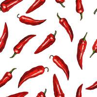 Hand-drawn vector seamless pattern of chili pepper. Vintage doodle illustration. Sketch for cafe menus and labels. The engraved image.