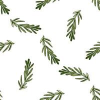 Hand-drawn vector seamless pattern of rosemary branch. Vintage doodle illustration. Sketch for cafe menus and labels. The engraved image.