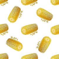 Hand-drawn vector seamless pattern of corn. Vintage doodle illustration. Sketch for cafe menus and labels. The engraved image.