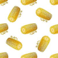 Hand-drawn vector seamless pattern of corn. Vintage doodle illustration. Sketch for cafe menus and labels. The engraved image.