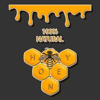 Drop of bee honey drip from hexagonal honeycombs filled with golden nectar vector