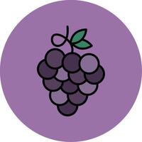 Zinfandel Grapes Line Filled multicolour Circle Icon vector