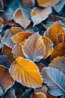 ai generado naranja haya hojas cubierto con escarcha en tarde otoño o temprano invierno. foto