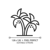 Date Palms in UAE linear icon. Desert tree of life. Dubai agribusiness harvesting. Paradise tropical. Food security. Thin line illustration. Contour symbol. Vector outline drawing. Editable stroke
