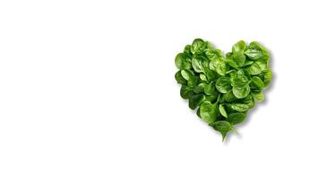 AI generated Heart made of fresh spinach leaves on white background with copy space. Healthy food and Wellness concept. photo