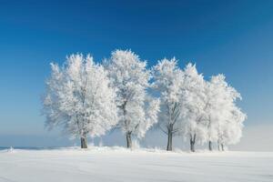 AI generated Trees covered with hoarfrost. Beautiful winter landscape with snow covered trees photo