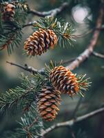 AI generated Pine cones on a tree branch photo