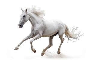 AI generated Andalusian horse on a white background. photo