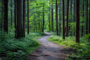 ai generado sendero mediante alto arboles en un lozano bosque foto