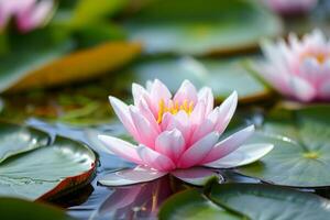 AI generated Water lily in pond in summer. photo