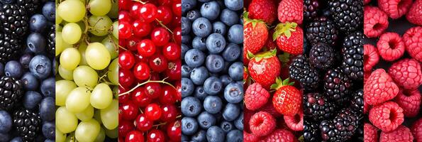 AI generated Vibrant berry product collage, divided by white lines, illuminated with bright light. photo