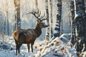 ai generado ciervo en el bosque en invierno. foto