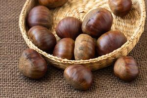 Fresh edible chestnuts in a basket photo