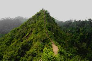 A view from one of Kulonprogo hill photo