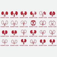 collection of kidney logos vector