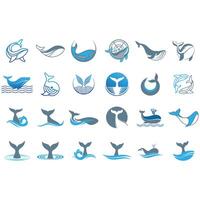 whale icon set vector