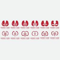 collection of kidney logos vector