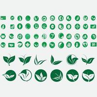 vector image illustration of a collection of leaf logos