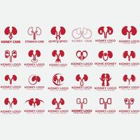 collection of kidney logos vector