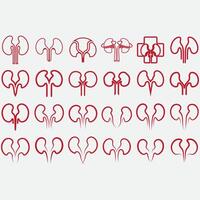 collection of kidney logos vector