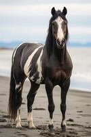 ai generado oscuro marrón caballo soportes en un arenoso playa, caballos imagen foto