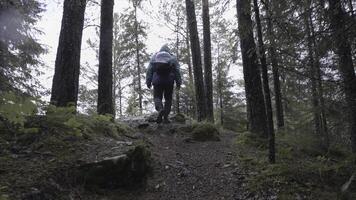 Back view of a tourist with backpack climbing up a rocky trail in a mountain forest, adventure and hiking concept. Stock footage. Man climbing up a mountain in woods. photo