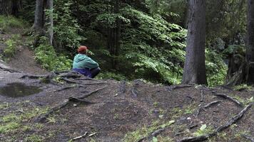 Rear view of a young man in red hat and turquoise jacket having a rest while hiking in the spring forest. Stock footage. Man traveler siiting on the ground among trees. photo