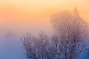 dreamy winter fog background photo