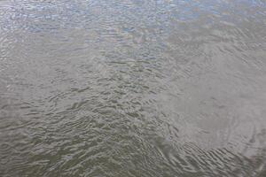 dirty puddle at day time, full-frame background photo