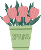 tulipán primavera icono ilustración png