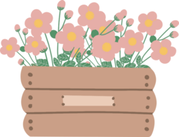 Spring flowers illustration png