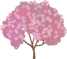 Sakura Symbol Illustration png