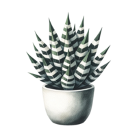 ai generado cebra planta suculento en un maceta acuarela clipart png